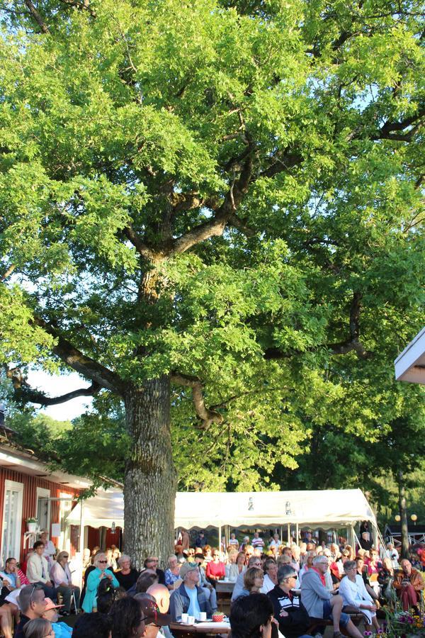 Eksjoe Camping & Konferens Bagian luar foto